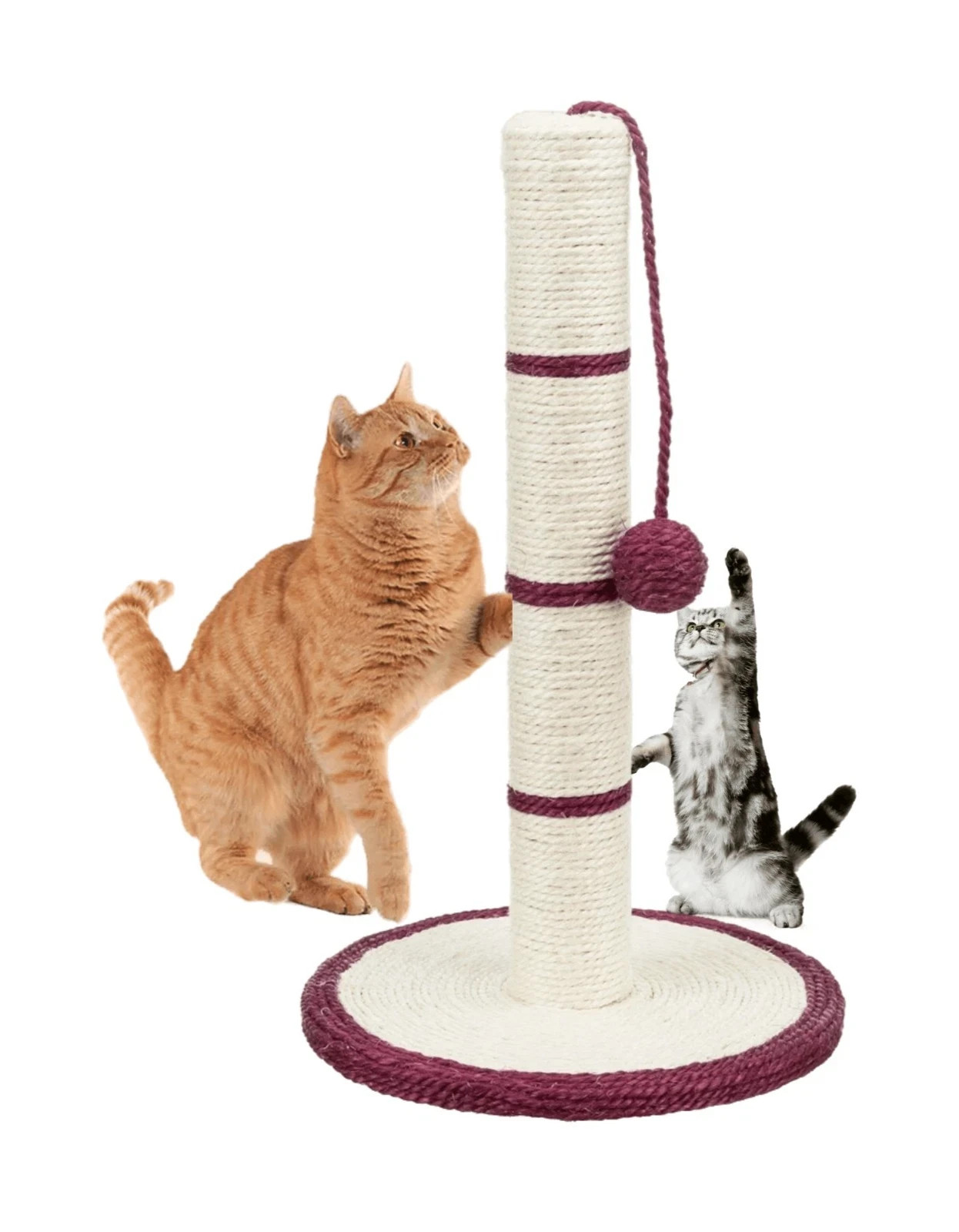 Cat Scratching Post 19\