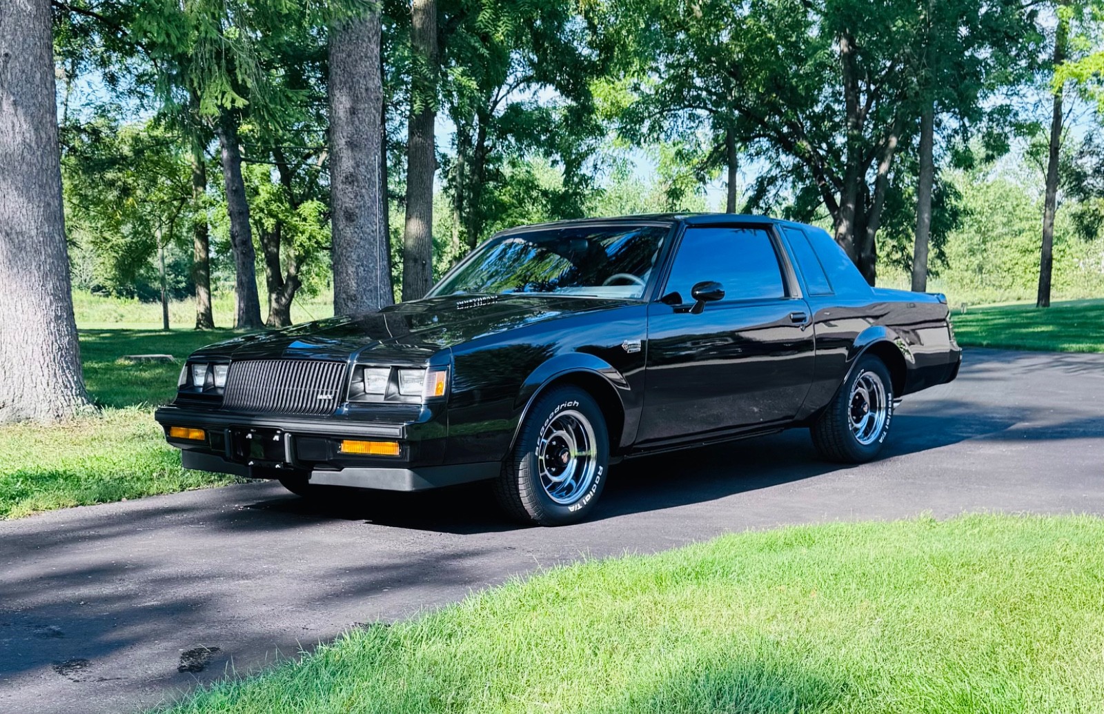 1987 Buick Regal 1987 Buick Regal