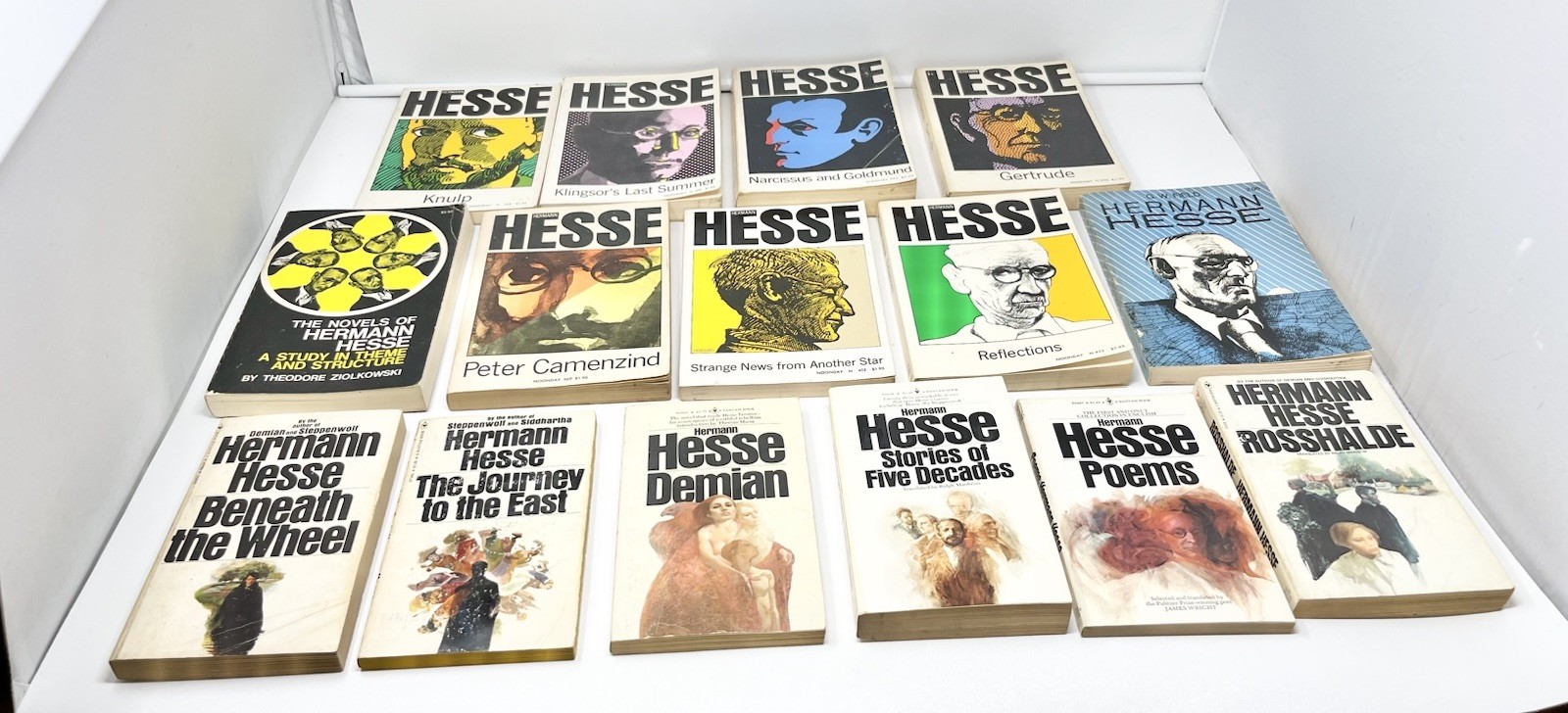 Vintage Lot 15 Hermen Hesse Paperback Books Poet Spiritual Philosopher Flaws