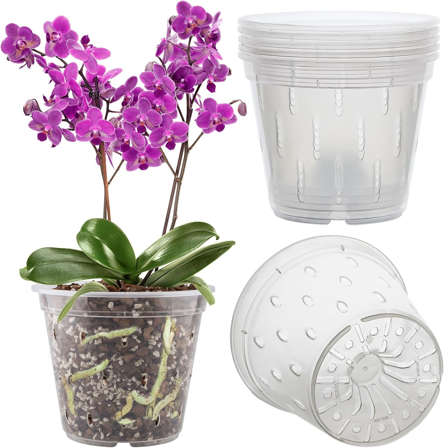 Pot, 6 Pack Pots with Holes, 5.5 Inch (6 pots), Clear