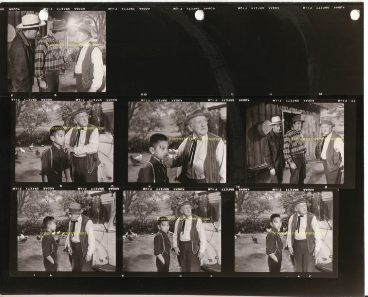 JEFFS COLLIE Lassie PHOTO #52 Orig 1956 CBS TV CONTACT PRINT SHEET Geo CLEVELAND