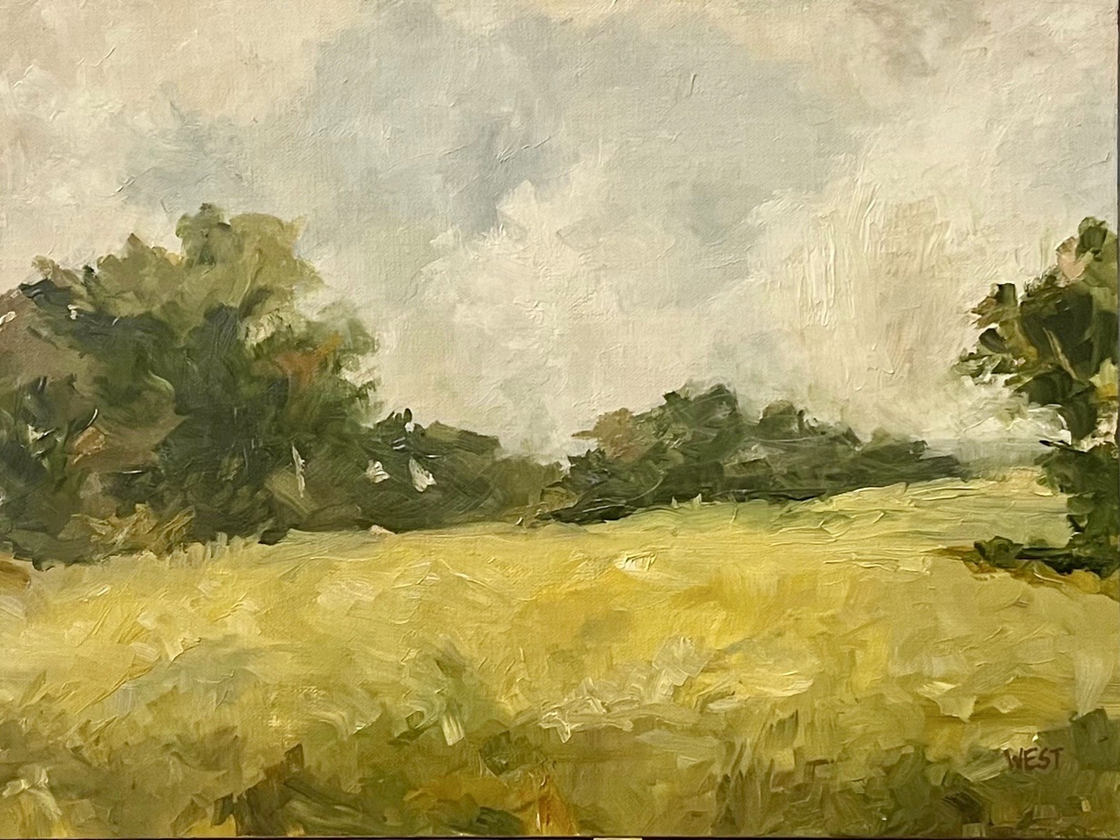 Original Oil Painting 9x12 Impressionist Landscape Summer Pasture Art Signed