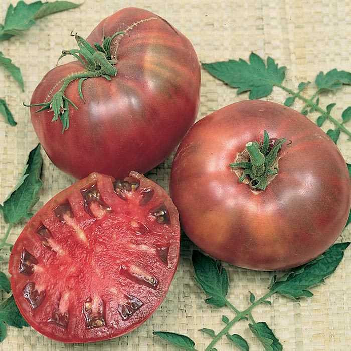 Cherokee Purple Tomato Seeds, Heirloom, NON-GMO, Variety Sizes, 