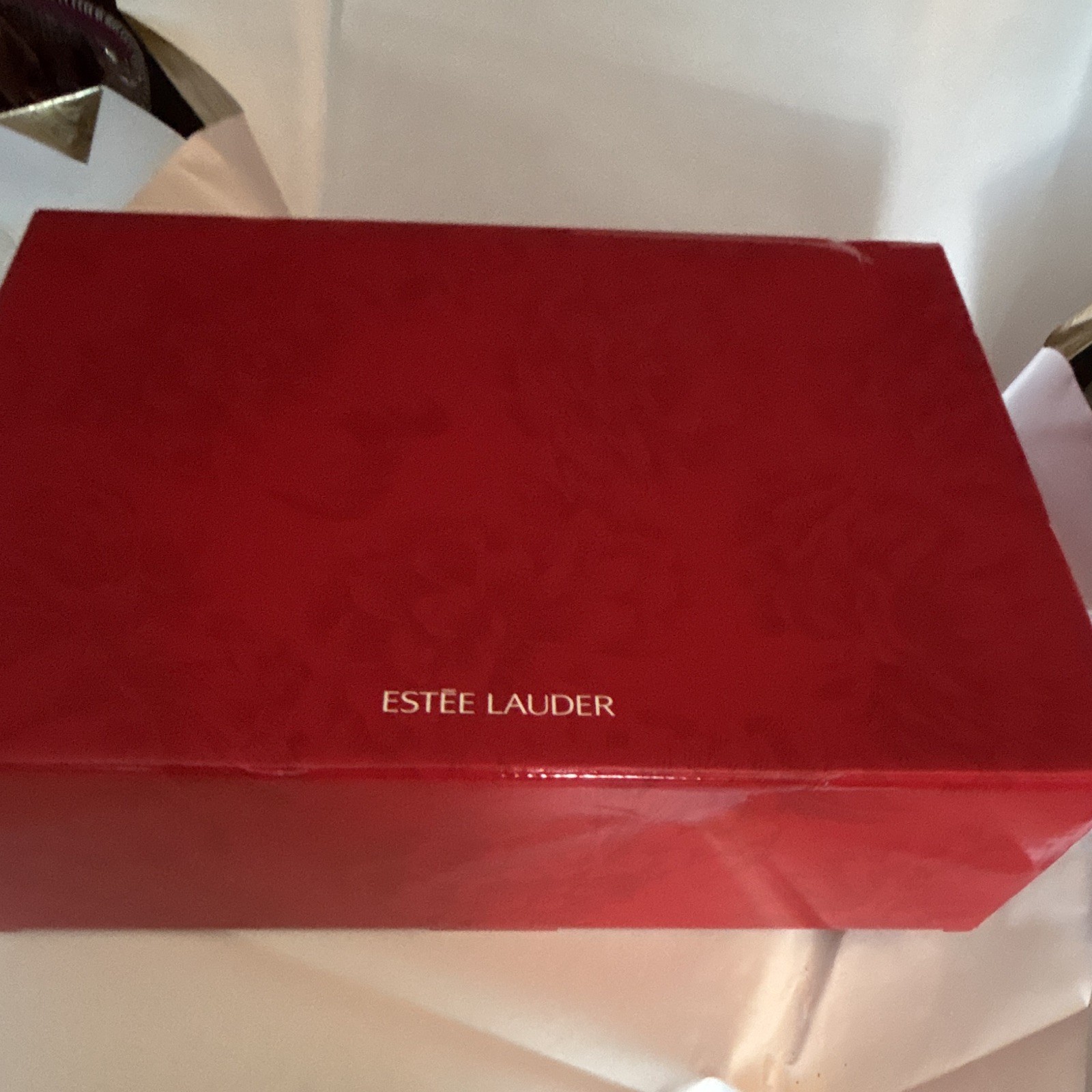 2010’s Comprehensive Estée Lauder holiday beauty gift set box. NIB 2010’s Comprehensive Estée Lauder holiday beauty gift set box. NIB