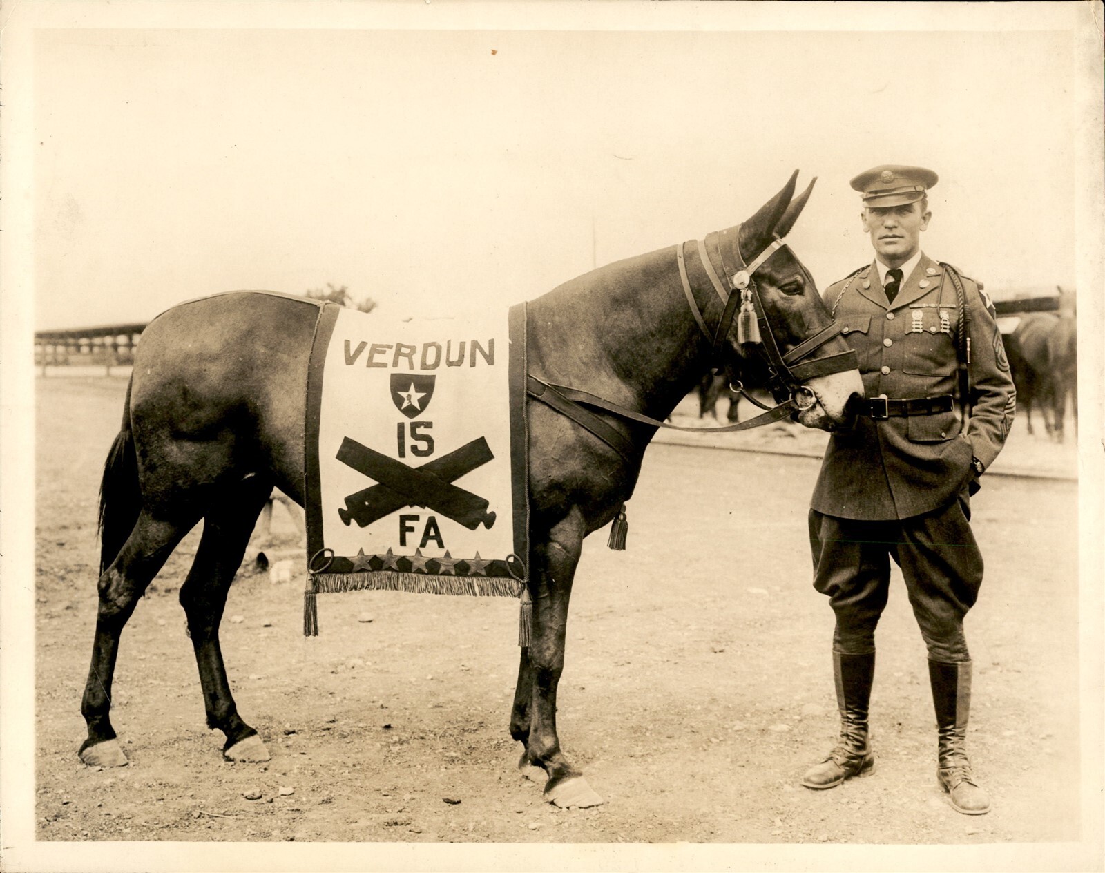 GA252 Approx 1930s Original Underwood Photo A.E.F. MASCOT WAR HORSE 