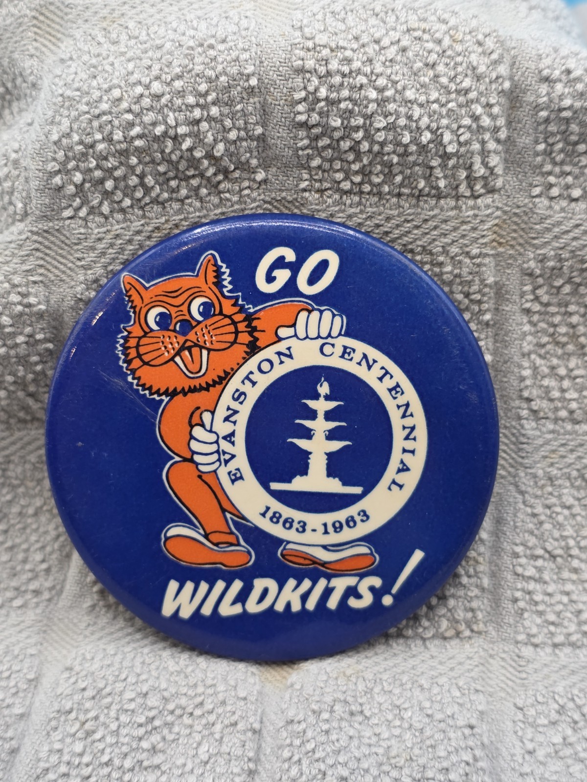 VTG Rare 1963 Evanston Township High School Illinois Pin VTG Rare 1963 Evanston Township High School Illinois Pin