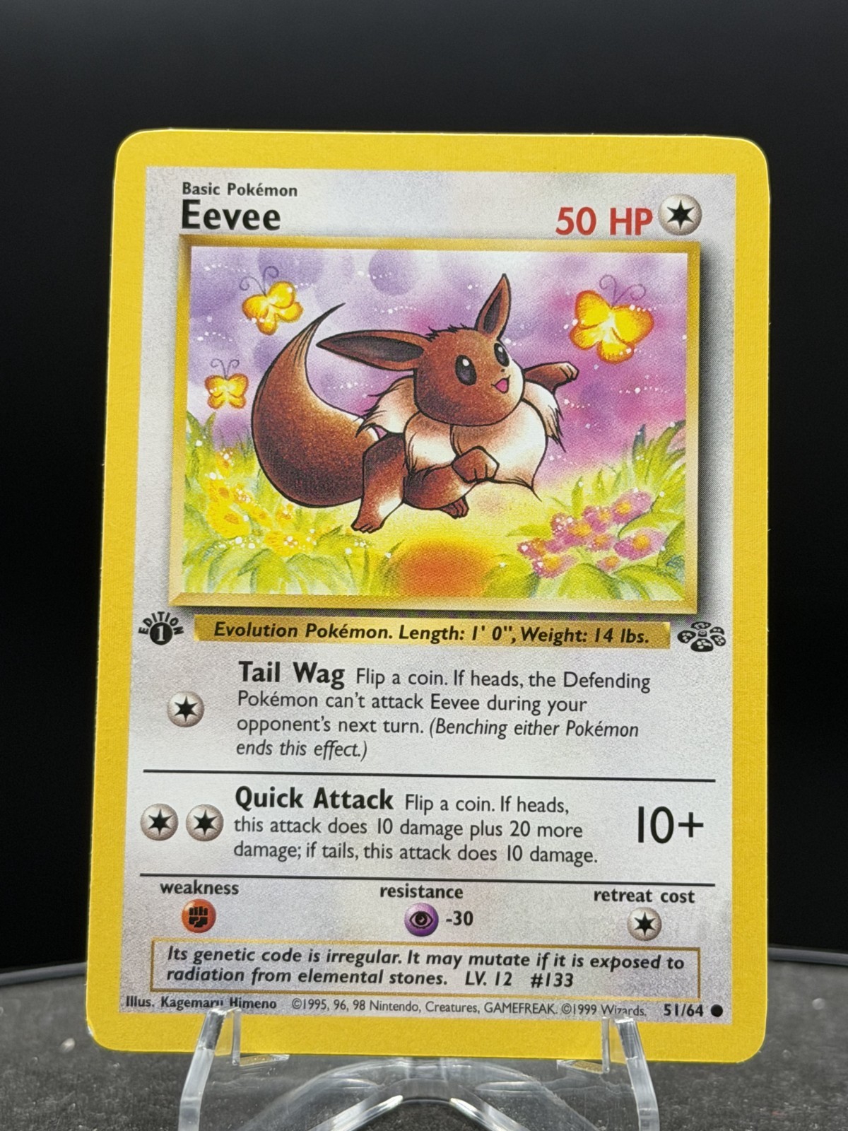 Pokemon FIRST 1st EDITION JUNGLE - #51 Eevee NM