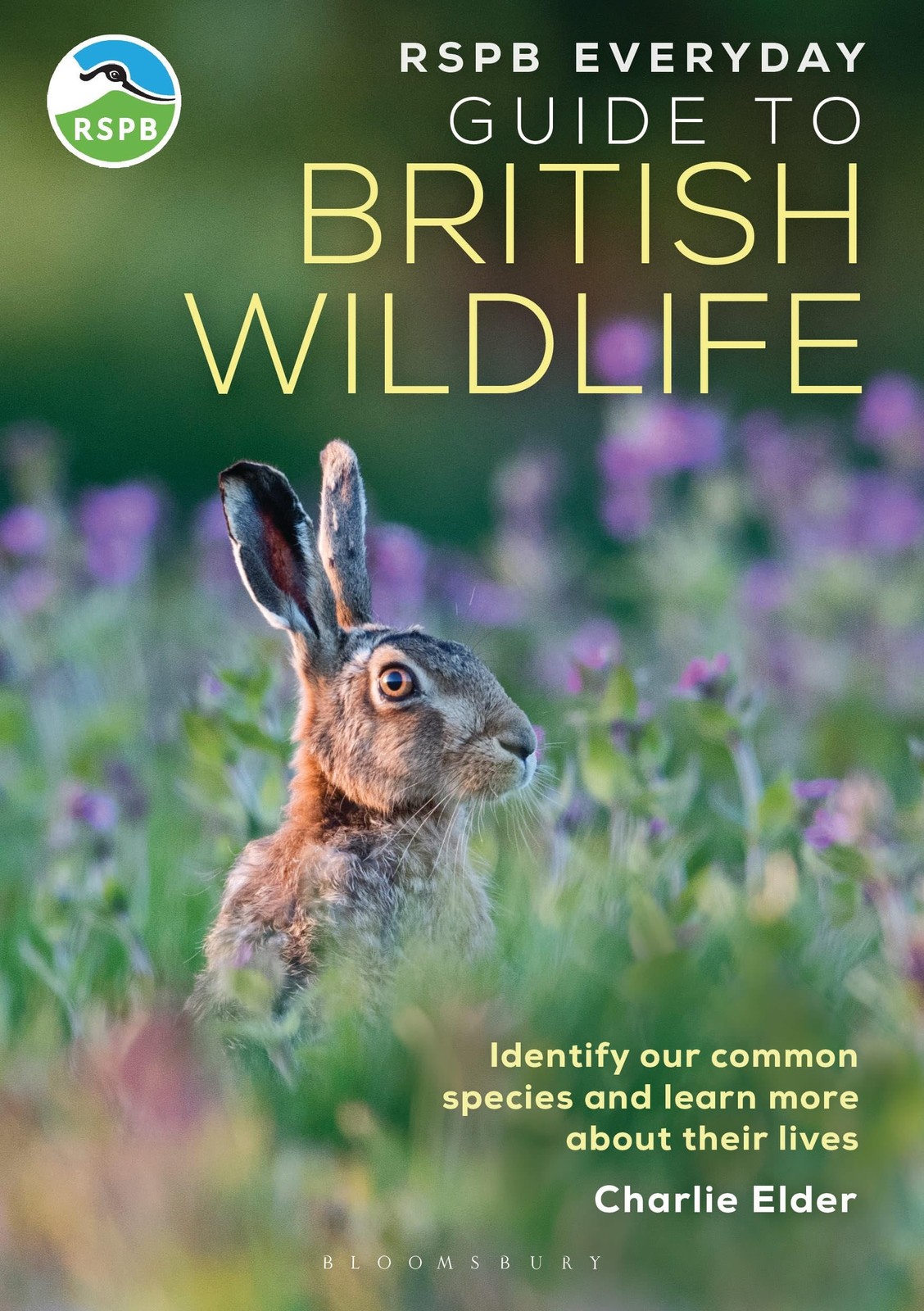 The RSPB Everyday Guide to British Wildlife: Id, Elder, Elder,..