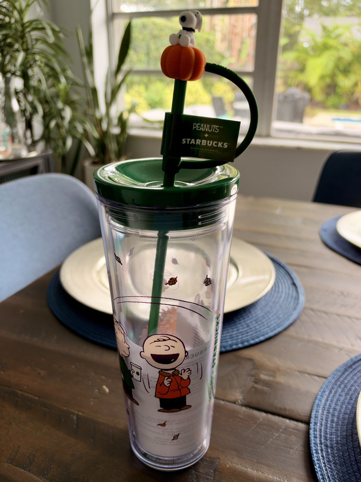 Starbucks / Peanuts Green Tumbler - In Hand / Ready to ship