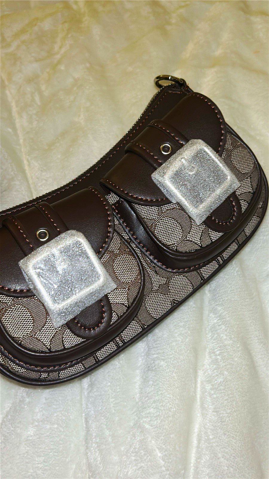 Coach Brown Ashton bag