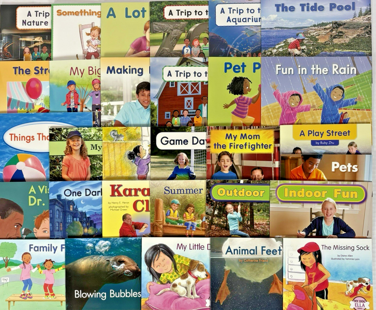 KINDERGARTEN READERS Level A-C Homeschool Library Fountas & Pinnell 30 Book Lot