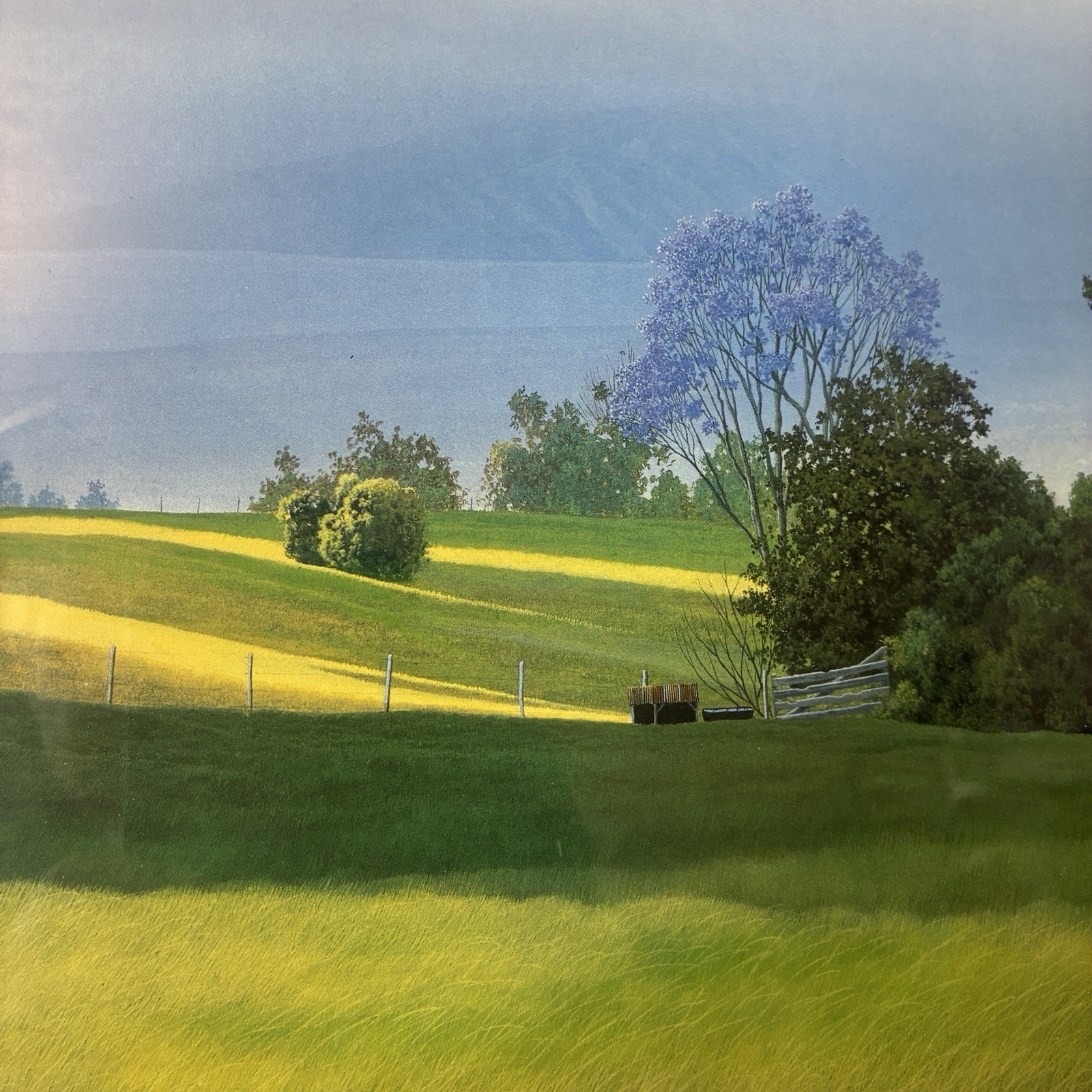 Vintage Curtis Wilson Cost Maui Hawaii Landscape Print Signed 1991 Framed  16x13