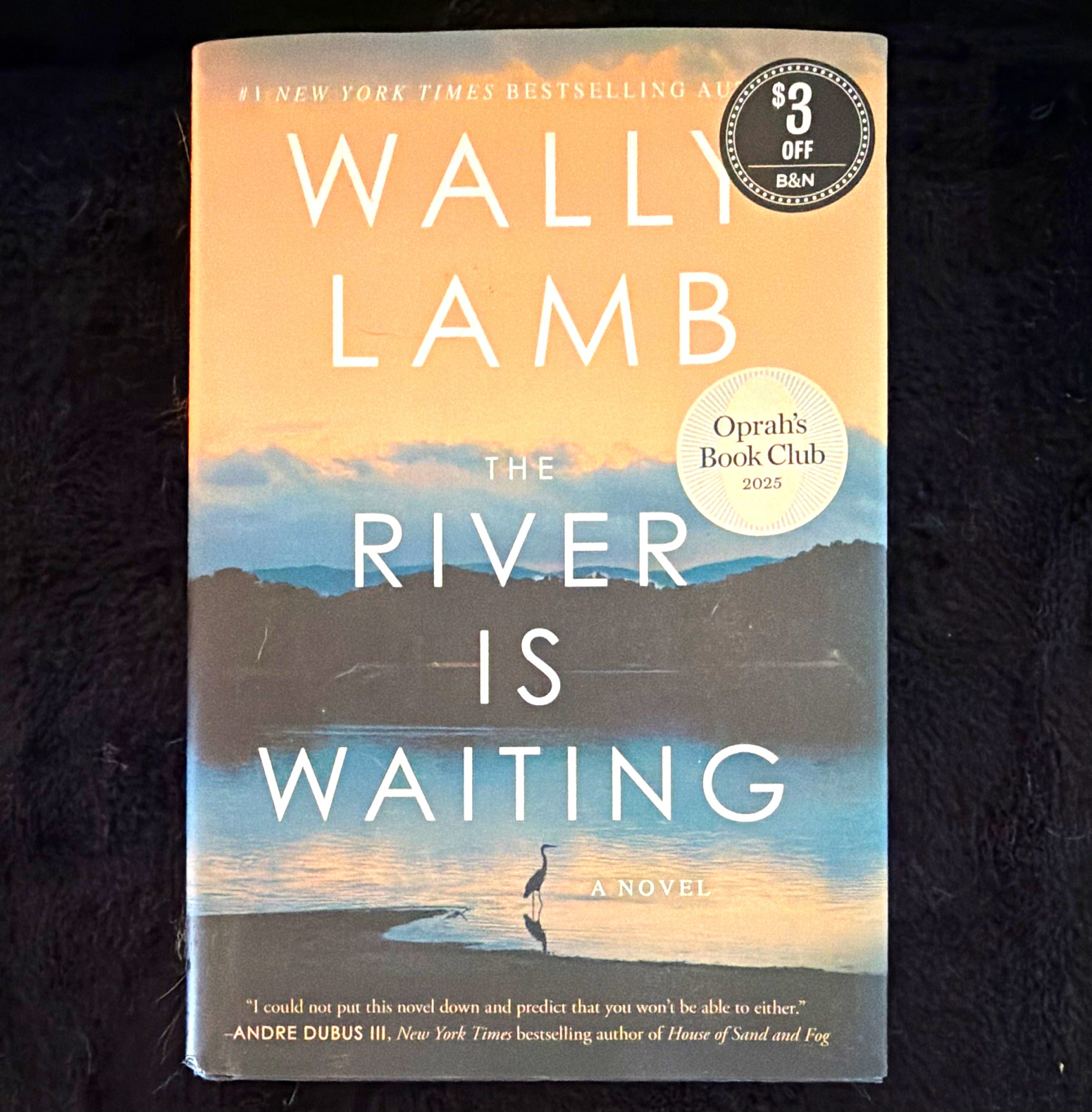 Wally Lamb The River Is Waiting Hardcover 2025 Dust Jacket Marysue Rucci Wally Lamb The River Is Waiting Hardcover 2025 Dust Jacket Marysue Rucci