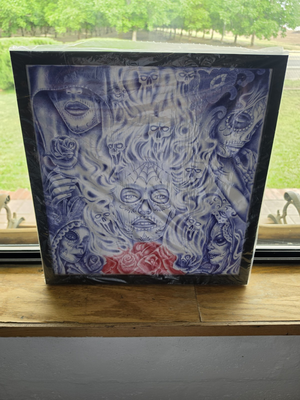 Professional hand sketched art on bandana with Customized picture frames 24x17