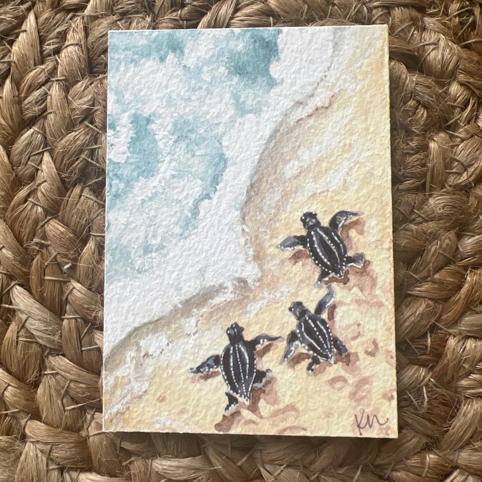 ACEO PRINT Baby Sea Turtle Hatchlings of Watercolor & Ink Painting by Kelly Horn