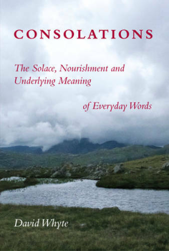 Consolations: The Solace, Nourishment and Underlying Meaning of Ev - VERY GOOD Consolations: The Solace, Nourishment and Underlying Meaning of Ev - VERY GOOD
