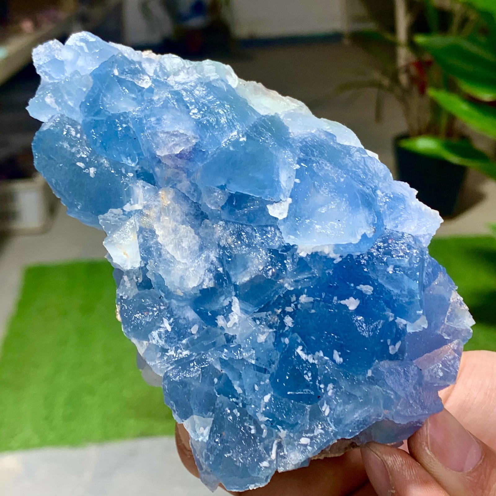 1.26LB Natural  blue green fluorite cubic mineral crystal sample/Zhejiang