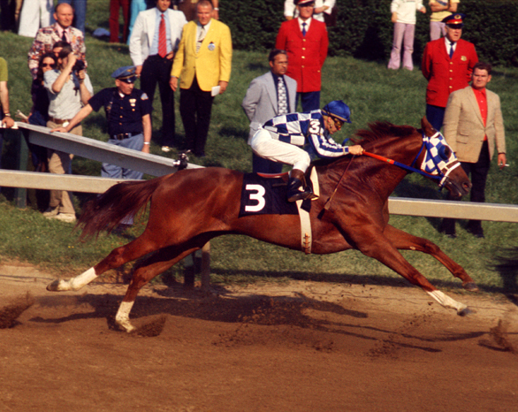 Secretariat 1973 Preakness Finish Photo 8