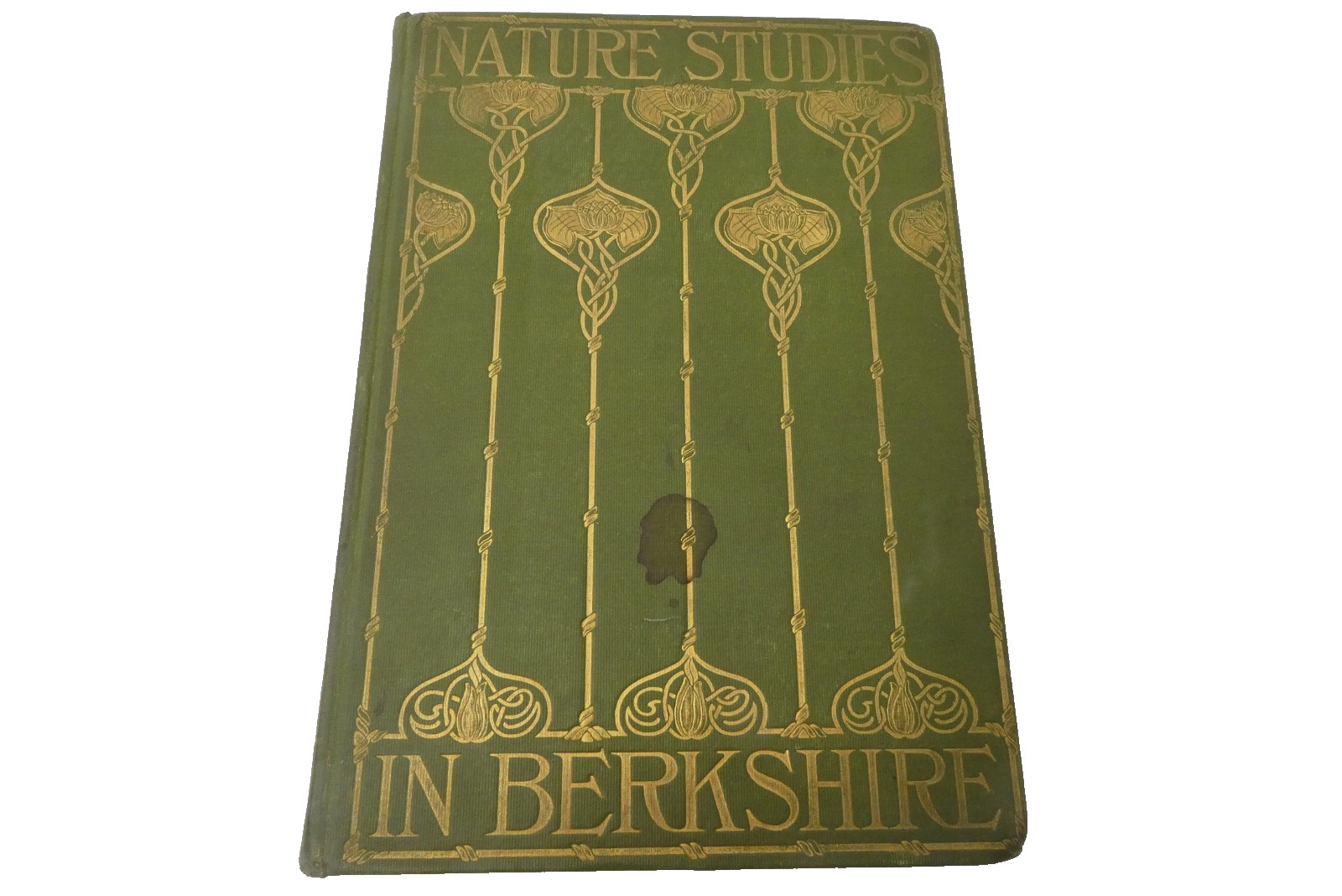 1899 1st Ed Nature Studies in Berkshire John Adams Photogravure Illustrated