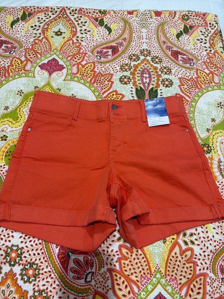 Apt. 9 Women\'s Mid Rise Tummy Control Shorts - Size 12 Apt. 9 Women\'s Mid Rise Tummy Control Shorts - Size 12