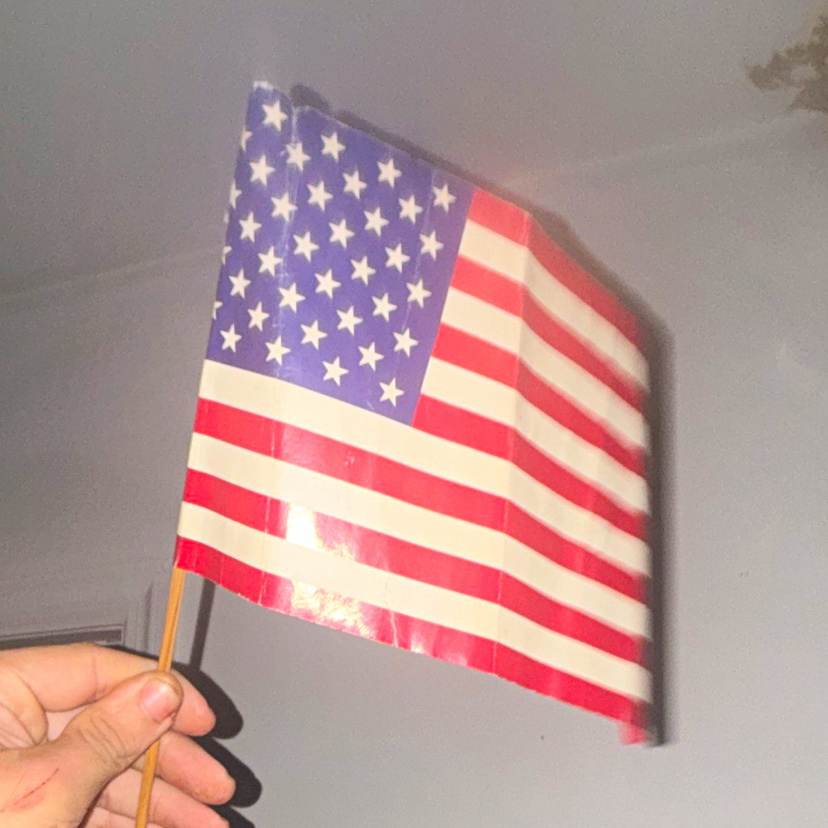 ACTUAL Bollywood PROP  Movie HALF GIRLFRIEND  U.S Flag from parade scene