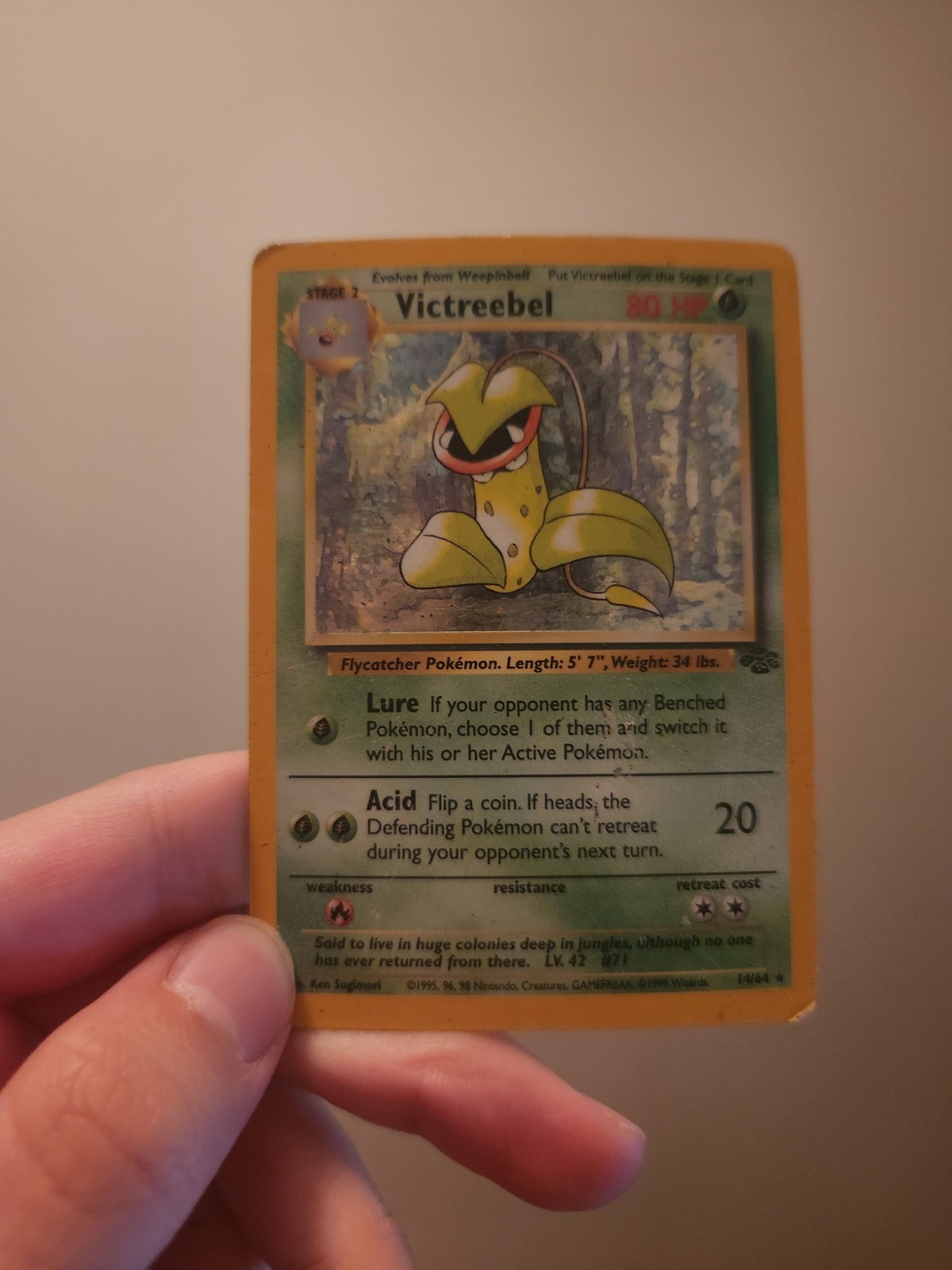 Pokémon Victreebel 14/64 Holo Rare 1999 Jungle Unlimited - Damaged
