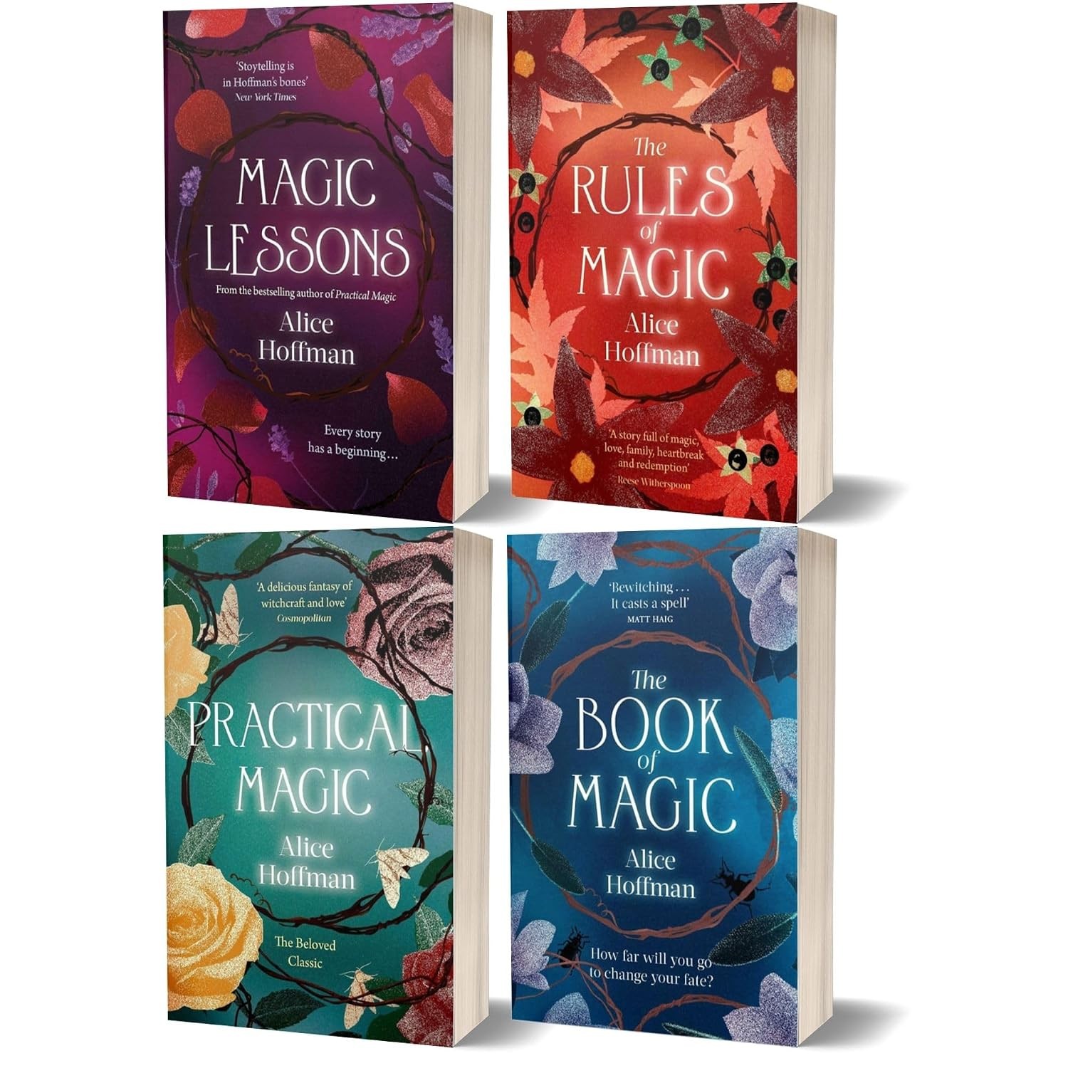 The Practical Magic Series Collection 4 Books Set By Alice Hoffman  The Rules of