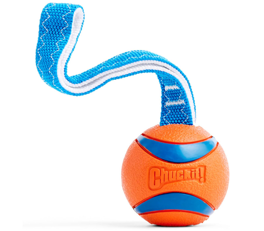 Chuckit Ultra Tug Dog Toy Large Ultra Ball Nylon Handle Fetch Tug 3 Inch