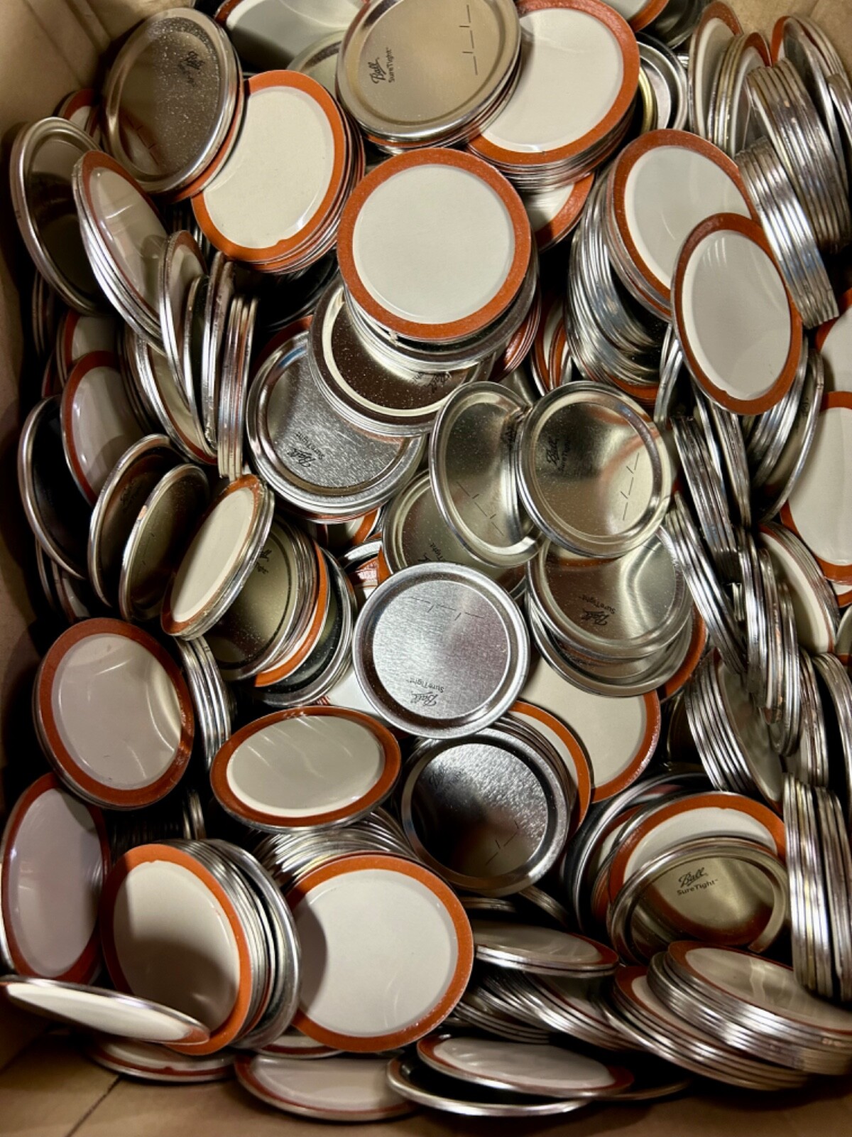 BALL Regular Mouth Jar Lids - 60 Count