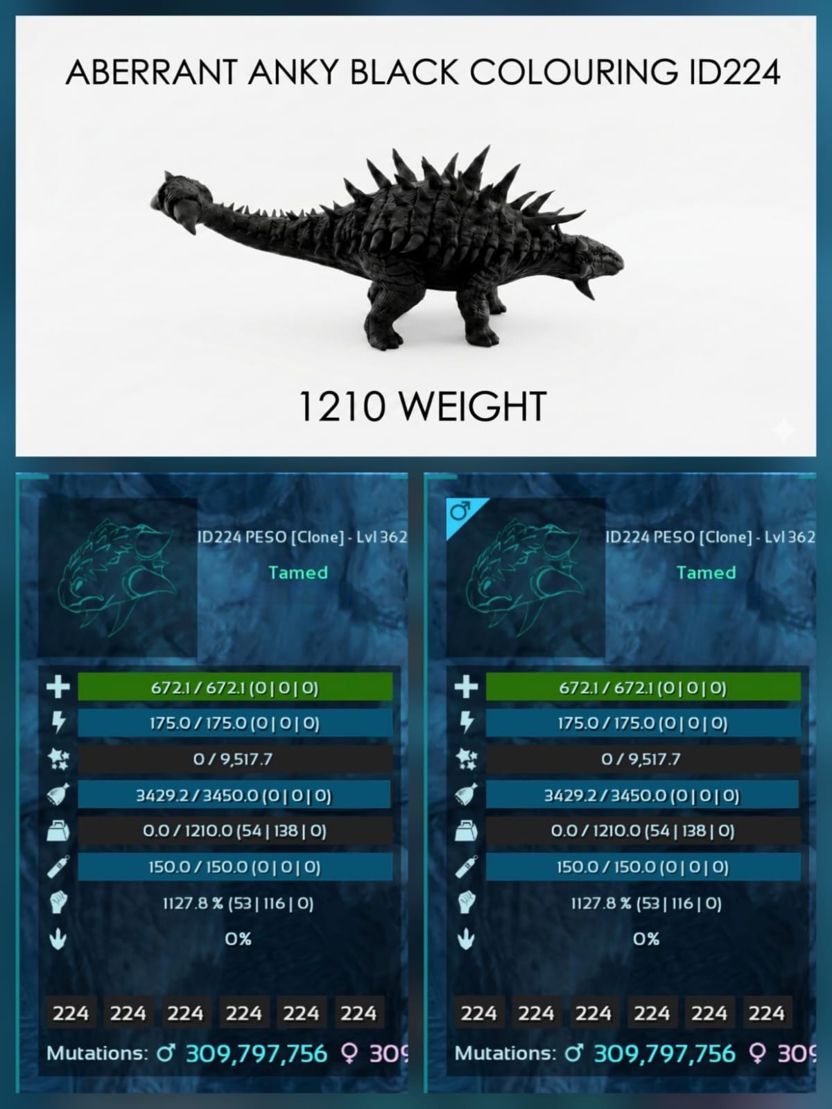 ANKY Aberrant Top Stats BABY PAIR  Ark Survival Ascended Official PVE PC/XBX/PS5