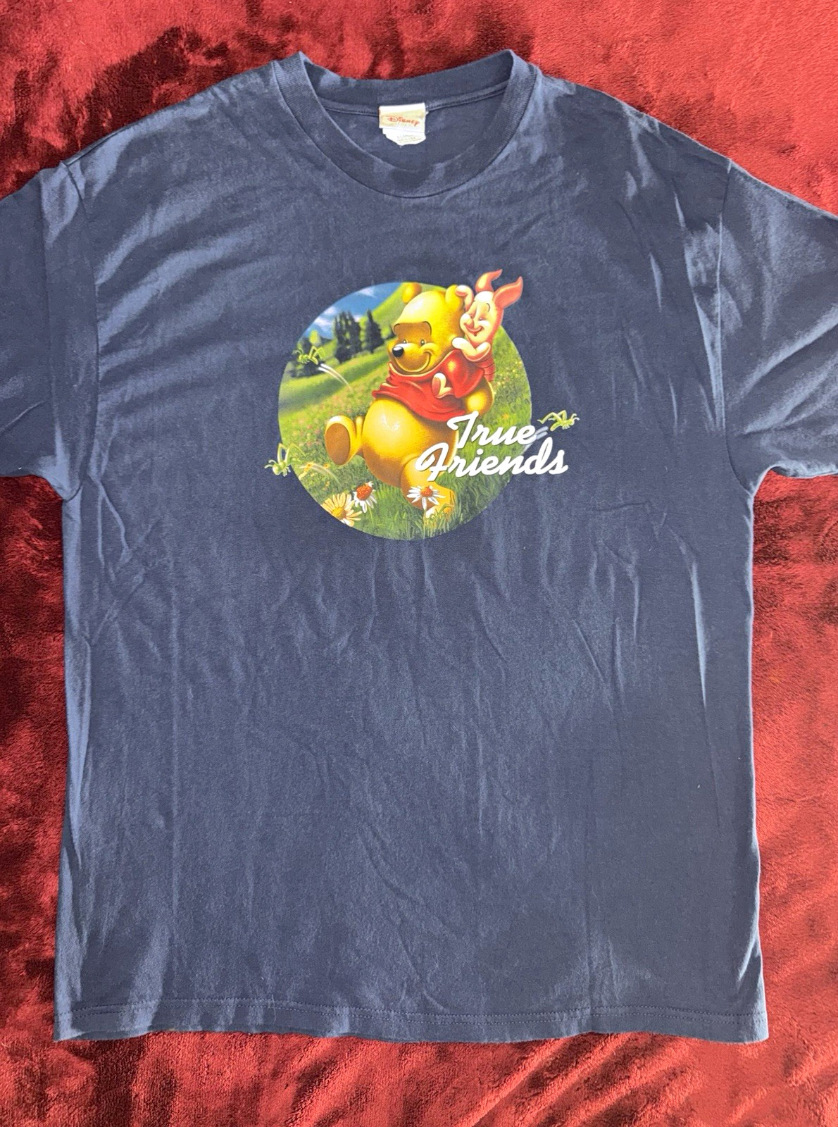 Vintage Disney Store Winnie the Pooh Piglet True Friends XL (Made in USA)