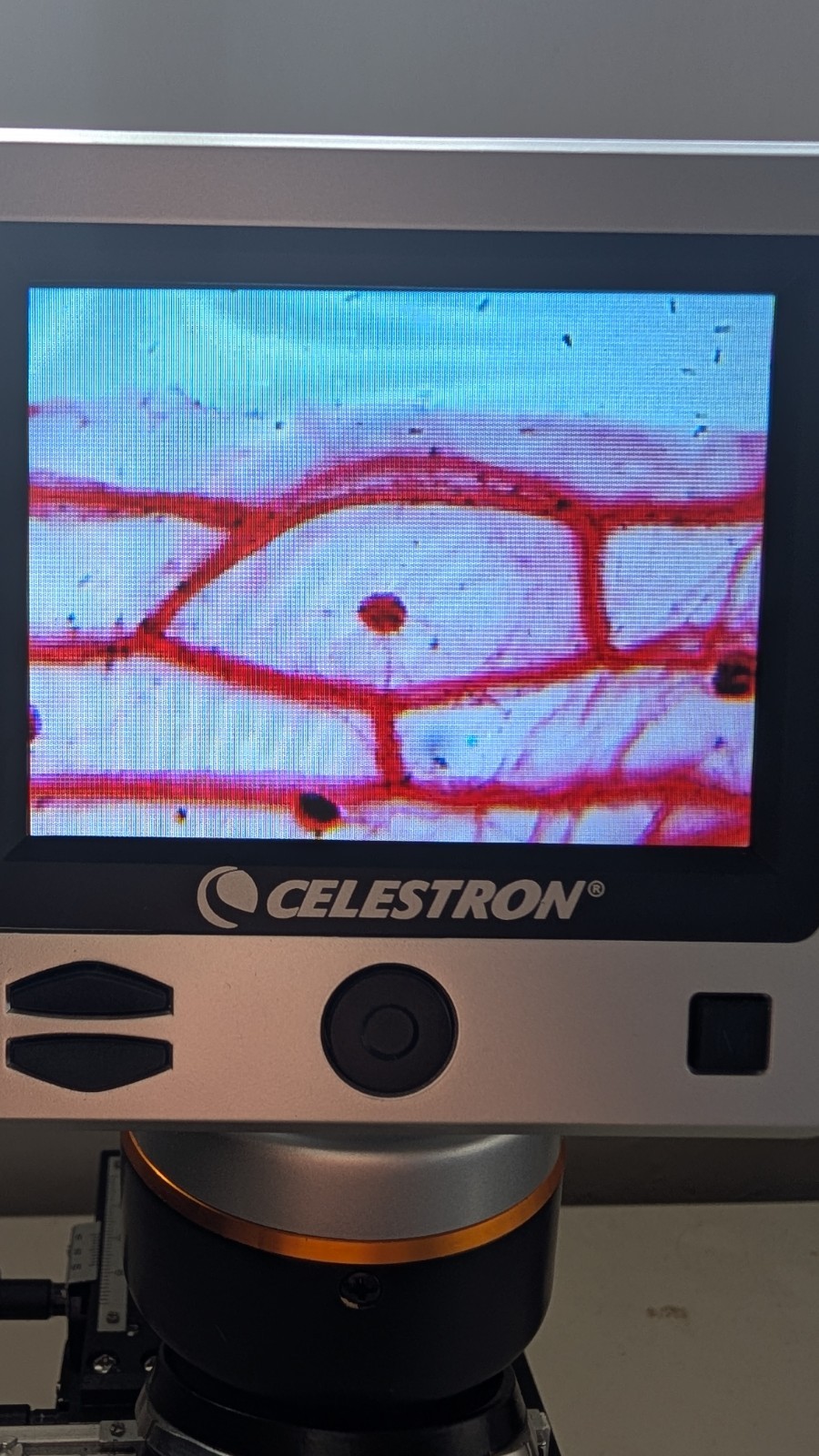 Celestron Digital Microscope II 44341 Tested 5MP LCD 40x-400x w/ 4x digital zoom