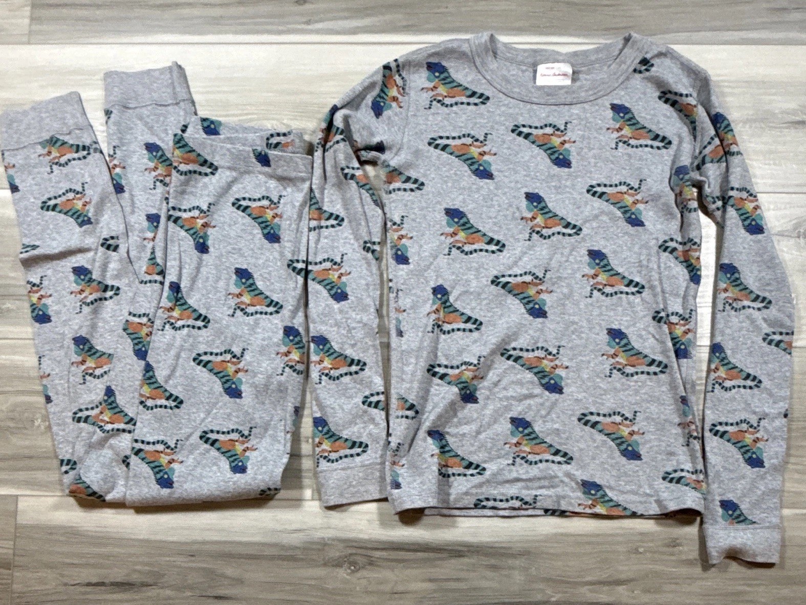Hanna Andersson Chameleon Two Piece Pajamas Set Size 14 (160) Organic Cotton Hanna Andersson Chameleon Two Piece Pajamas Set Size 14 (160) Organic Cotton