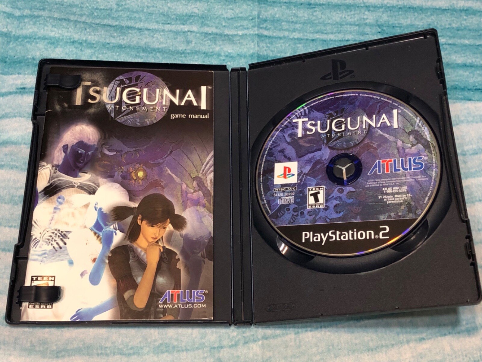 Tsugunai Atonement PS2 Excellent with Registration Card