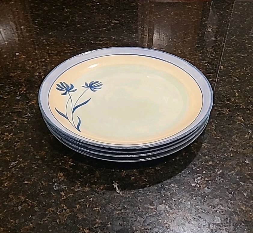 SET OF 4 Pier 1 TRANQUILITY Earthenware 11.25