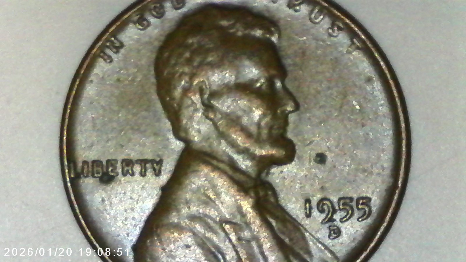 1955-D/D South (RPM-001) Lincoln Wheat Penny 1955-D/D South (RPM-001) Lincoln Wheat Penny