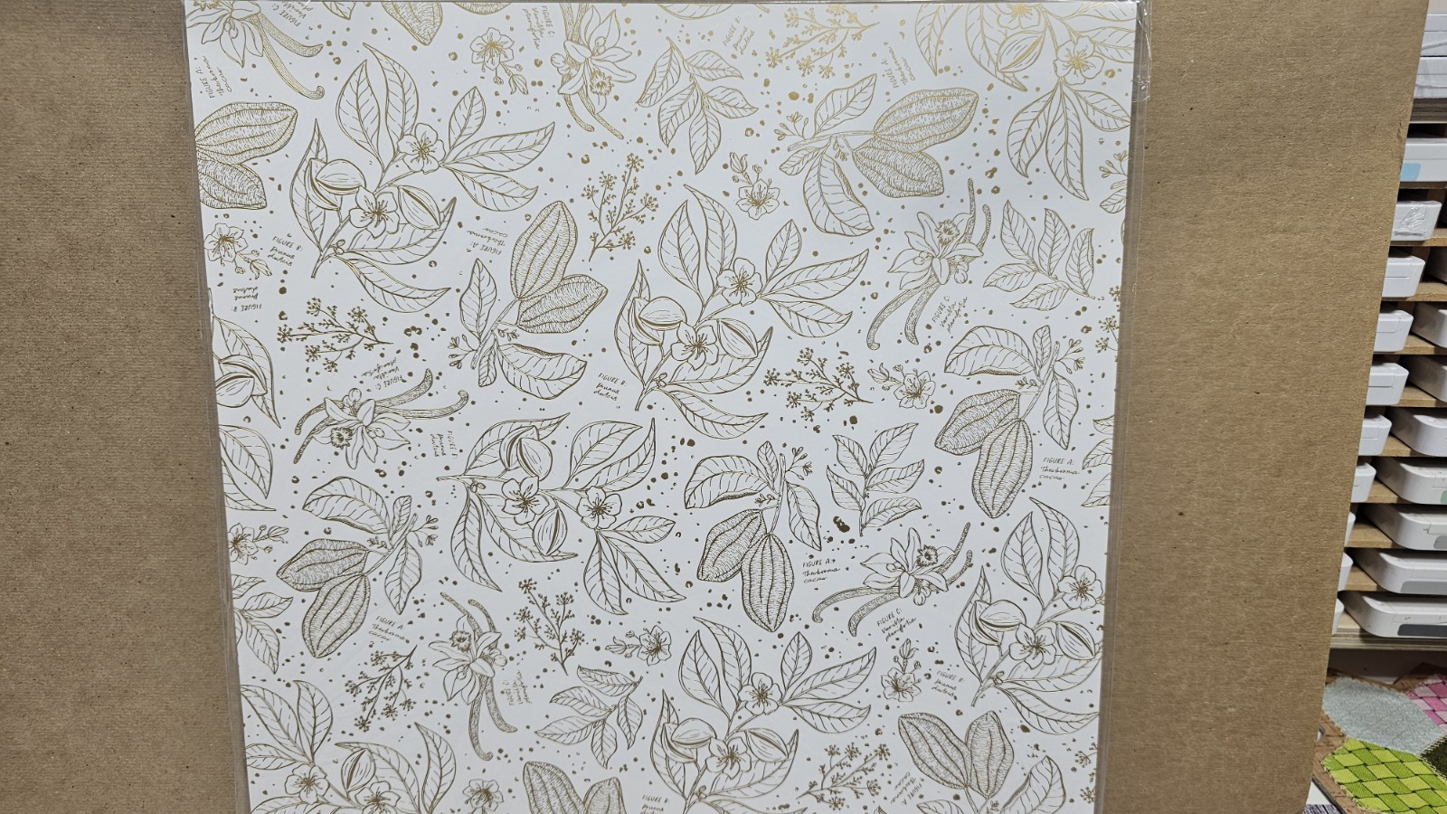 Stampin’ Up NATURE\'S SWEETNESS SPECIALTY DSP New 12 sheets 12 x 12 PAPER Stampin’ Up NATURE\'S SWEETNESS SPECIALTY DSP New 12 sheets 12 x 12 PAPER