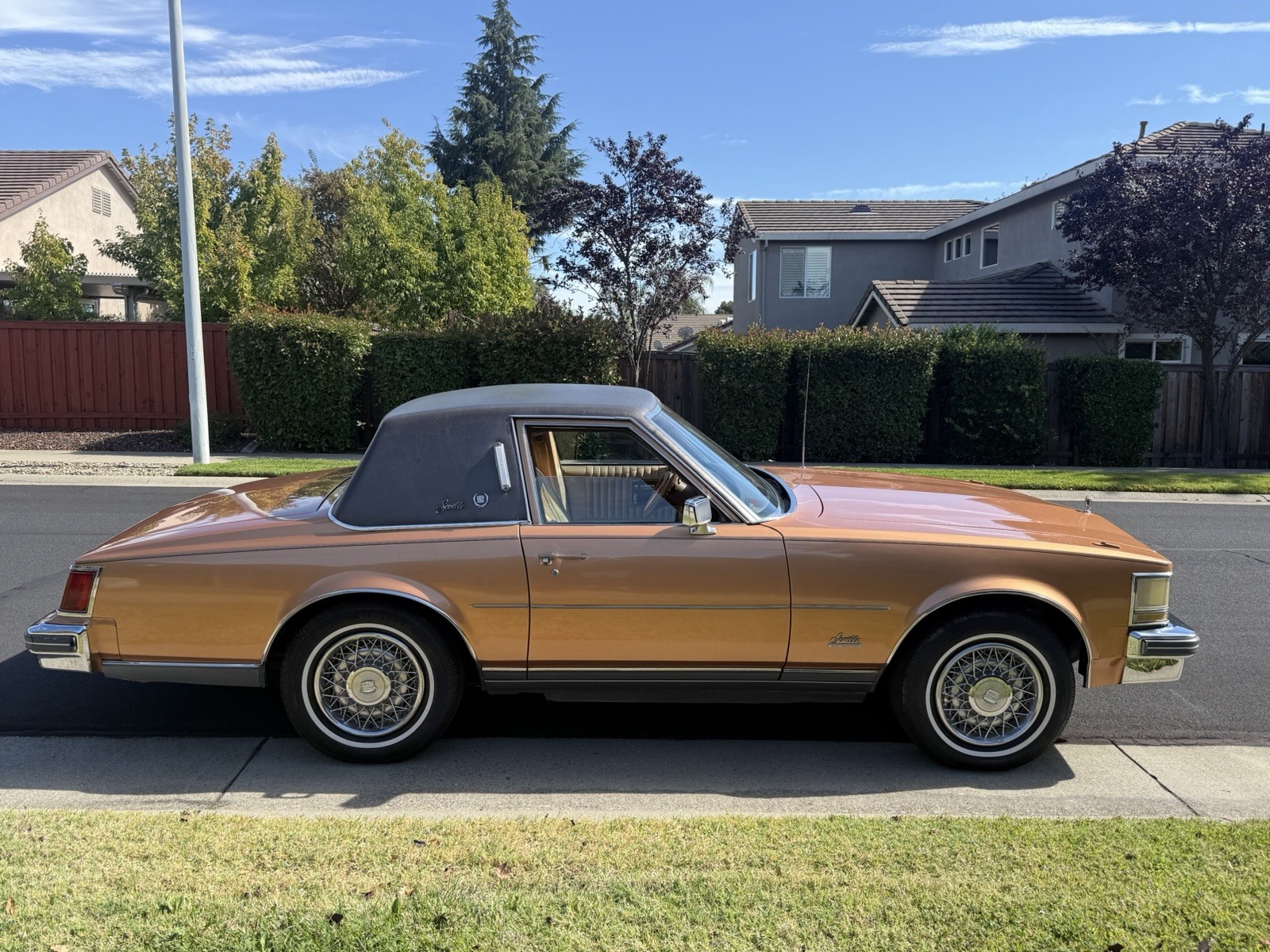 1976 Cadillac Other