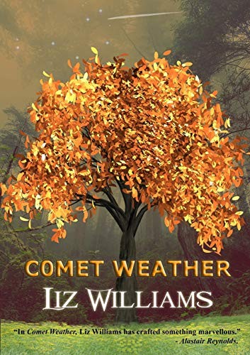 Comet Weather - VERY GOOD Comet Weather - VERY GOOD