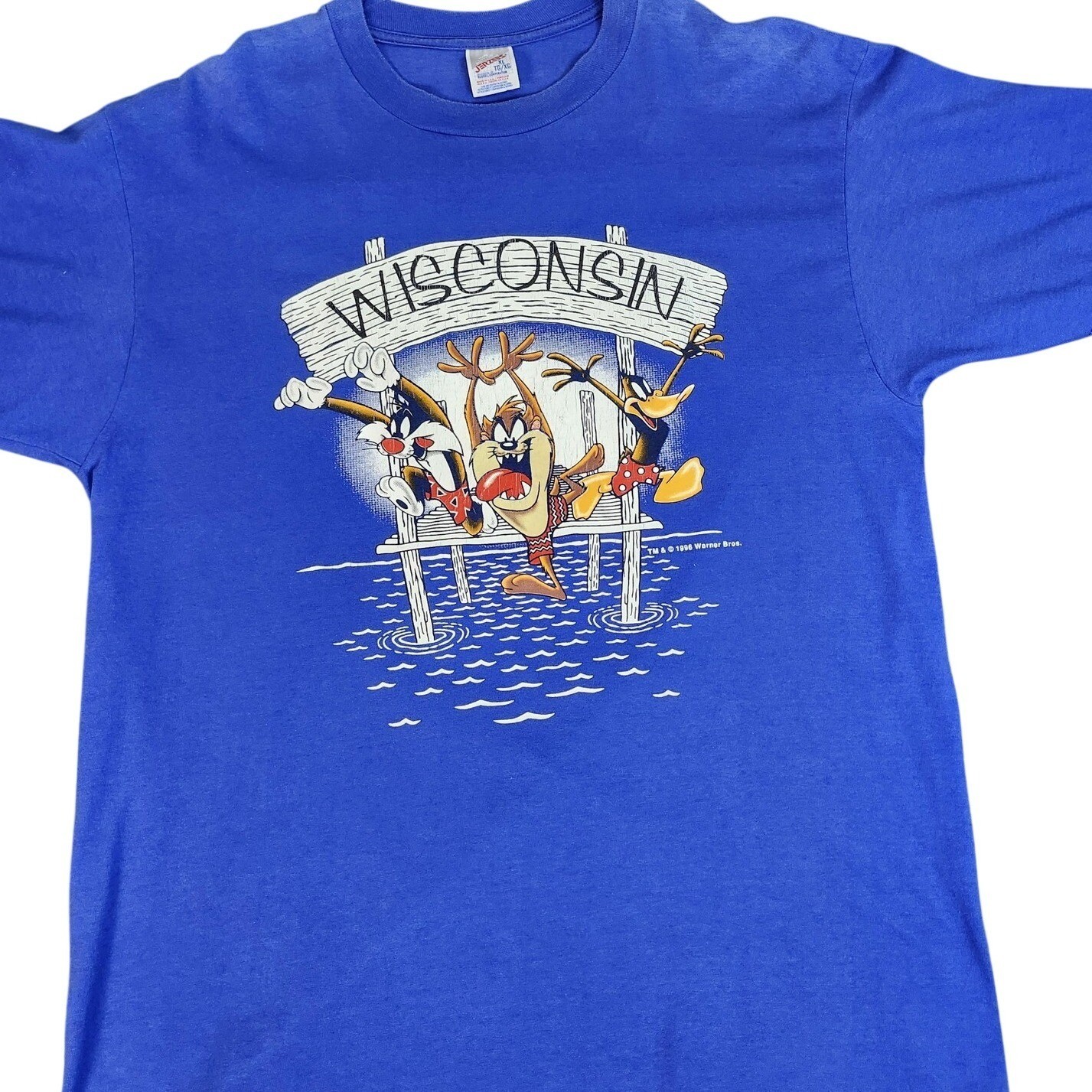 Vintage 1996 Looney Tunes Wisconsin Dells T-Shirt Taz Sylvester Daffy USA 90s
