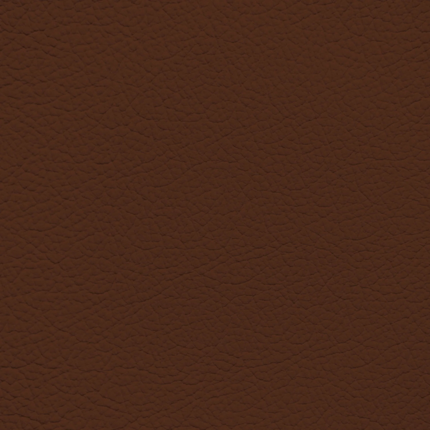 Ford King Ranch Chaparral Leather Dye