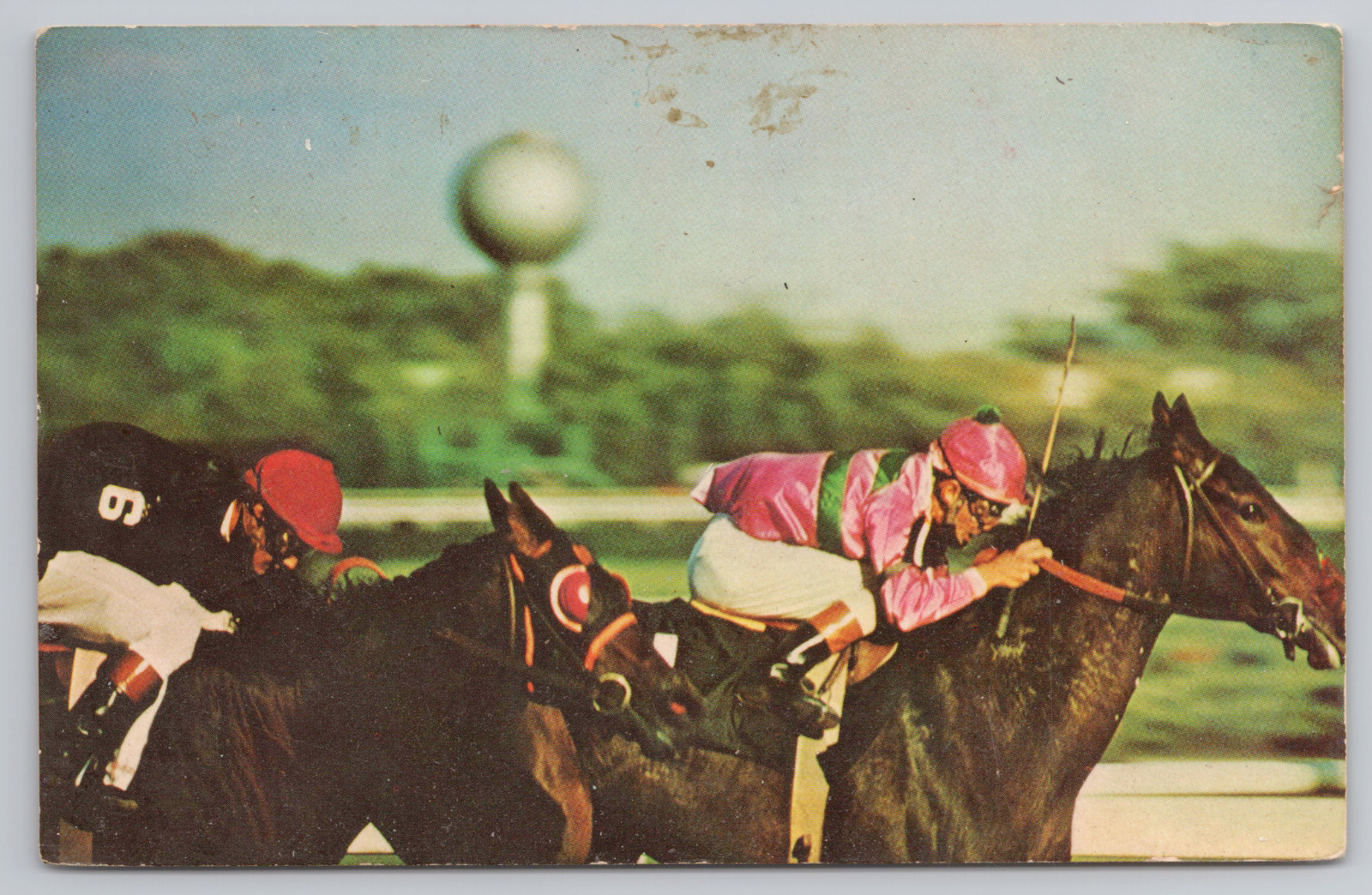 Vintage Aqueduct Racetrack Long Island NY Horse Racing Postcard Vintage Aqueduct Racetrack Long Island NY Horse Racing Postcard