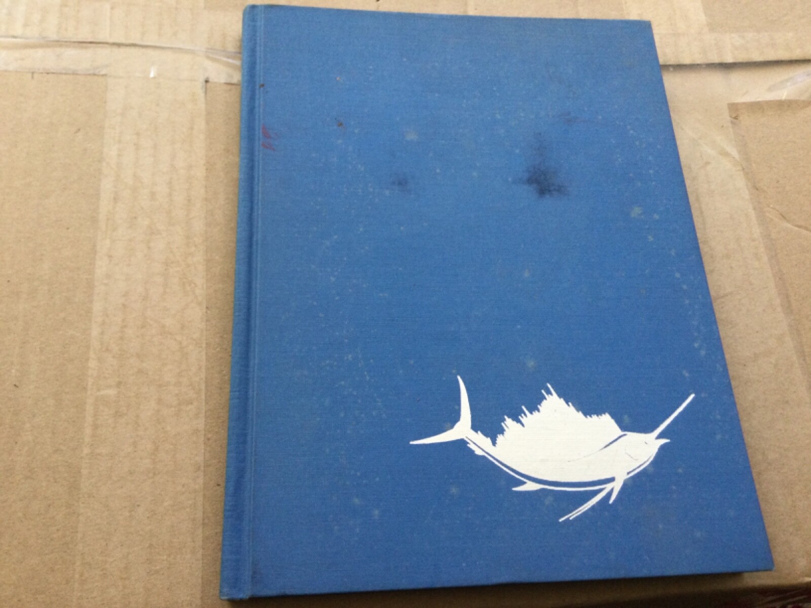 The Sailfish: Swashbuckler of the Open Seas\