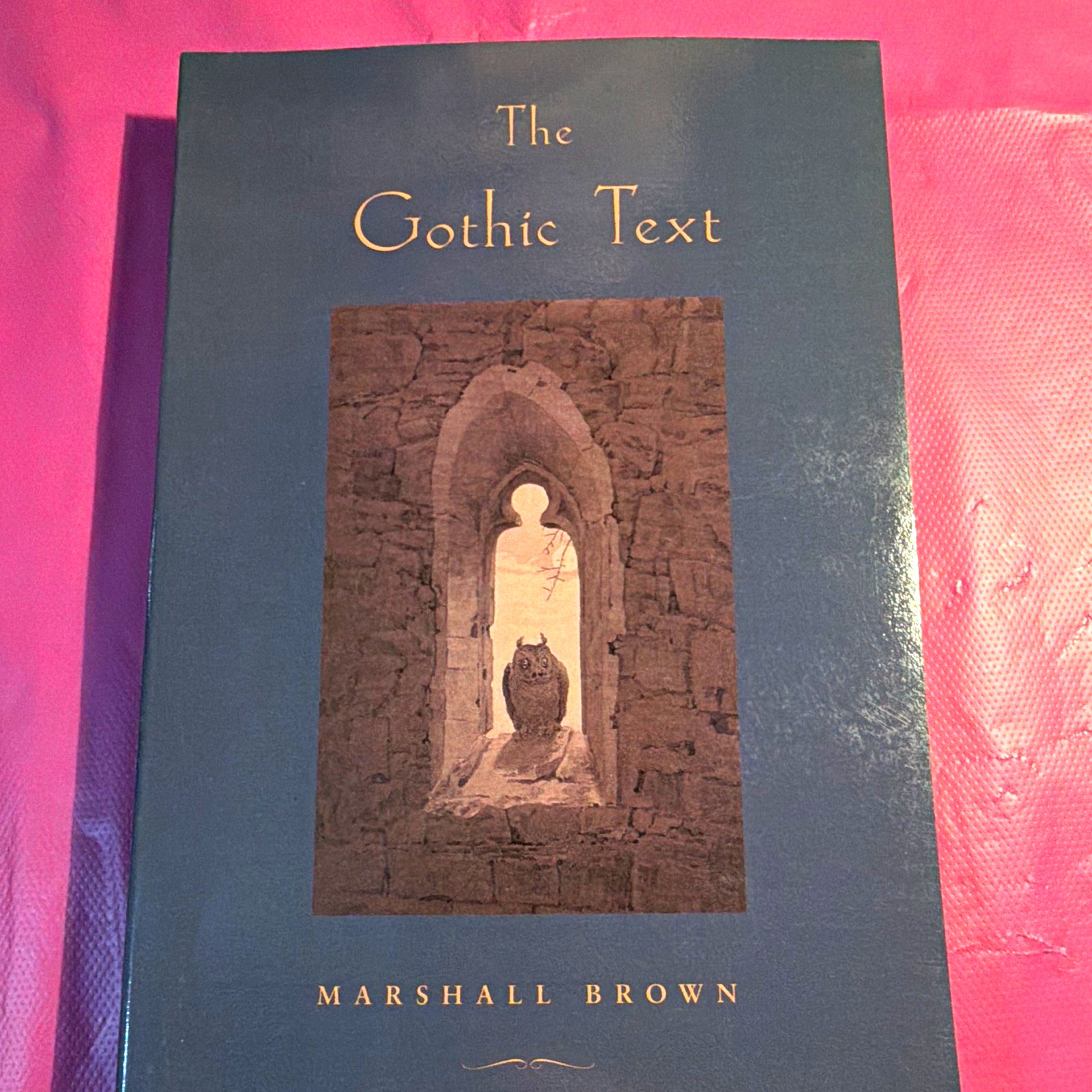 The Gothic Text Marshall Brown Paperback Literary Criticism Gothic Fiction YA