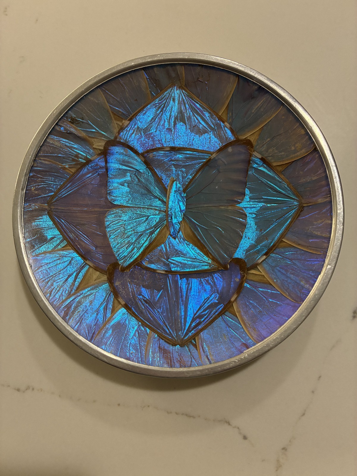 Vtg Beautiful Blue Morpho Butterfly Decorative Wall Hanging Trinket Dish 5 5/8 Vtg Beautiful Blue Morpho Butterfly Decorative Wall Hanging Trinket Dish 5 5/8