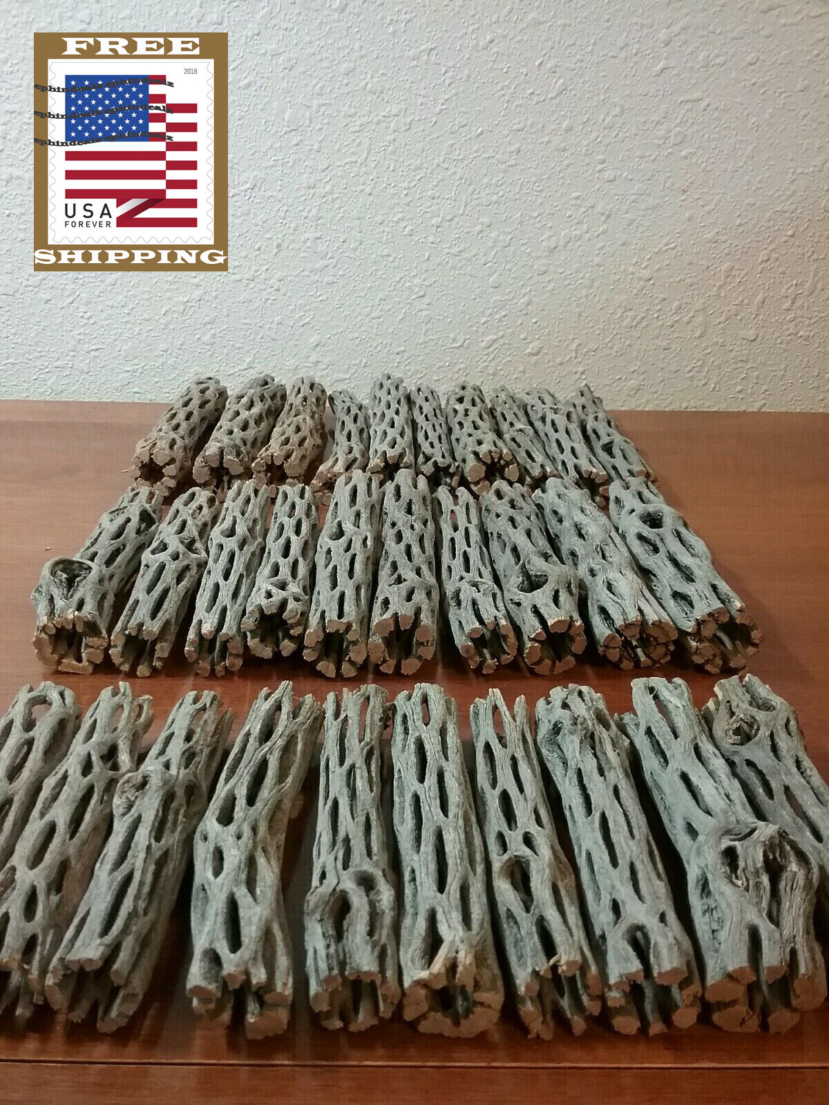 NEW 30 pcs CHOLLA Wood | 3 Sizes Multi-Pack | Organic Driftwood | Craft Aquarium