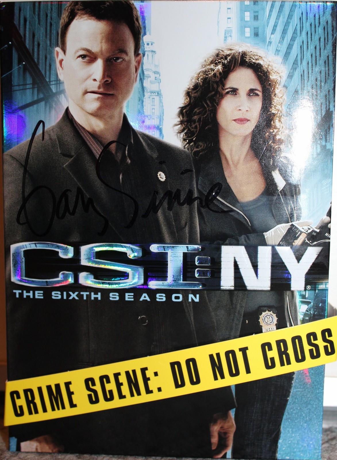 CSI: NY: Season 6
