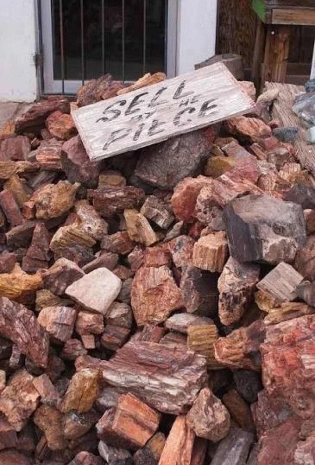 5 Lbs - Arizona Petrified Forrest⛏️: Top Quality Rainbow & Reg Mix Lot, 5 Lb 