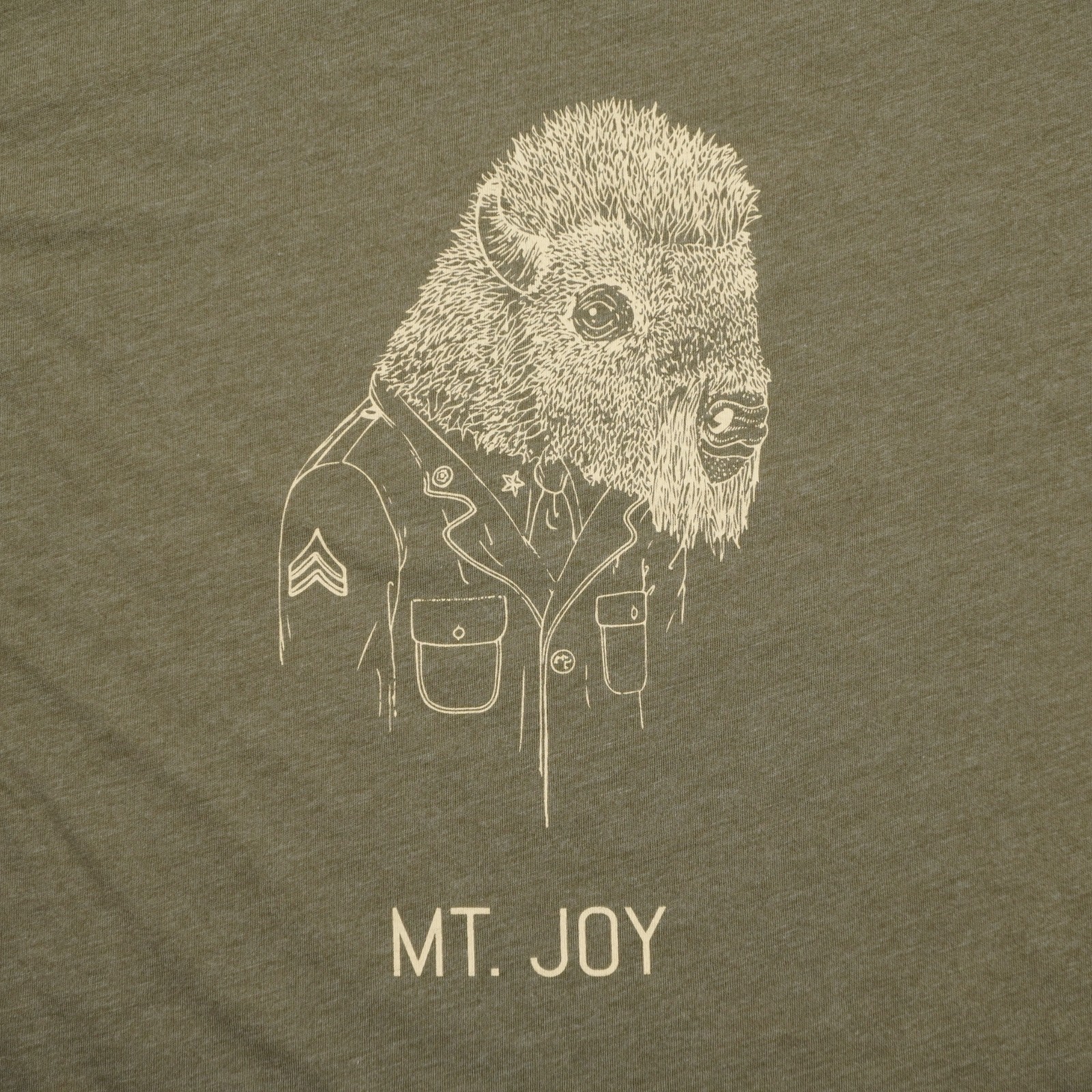 Mt. Joy Band Bison Astrovan T Shirt 2017 Mens Adult Medium Green Buffalo EUC