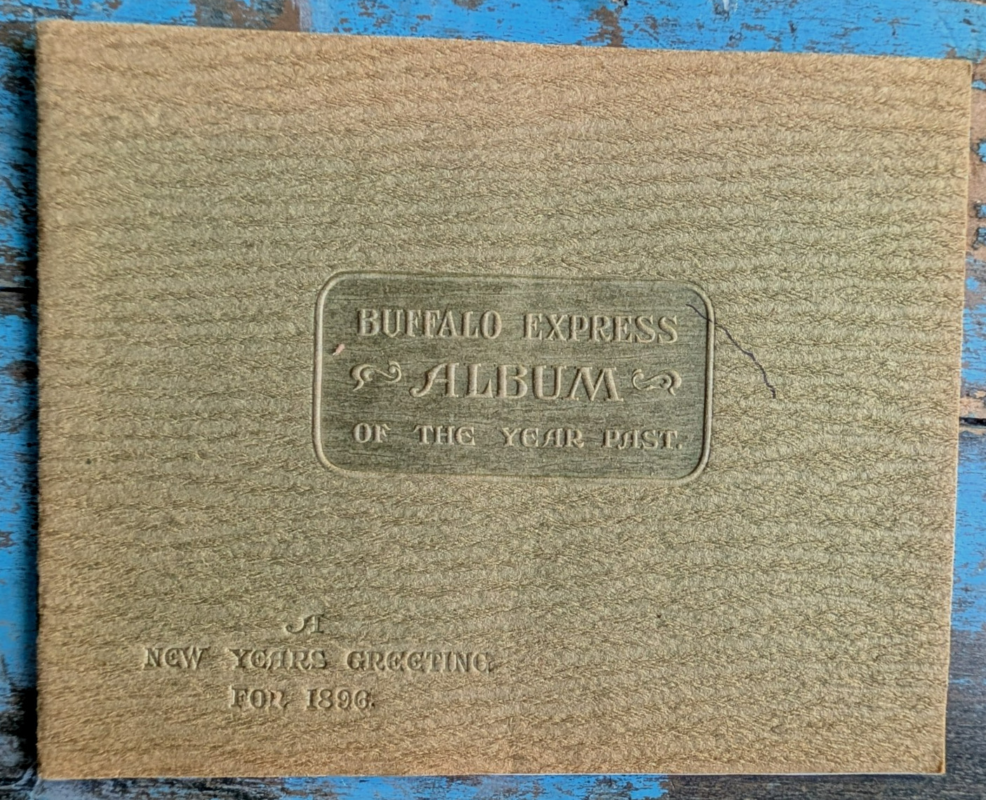 1896 Buffalo NY Express Album Photos Ellicott Square & Guarantee Buildings